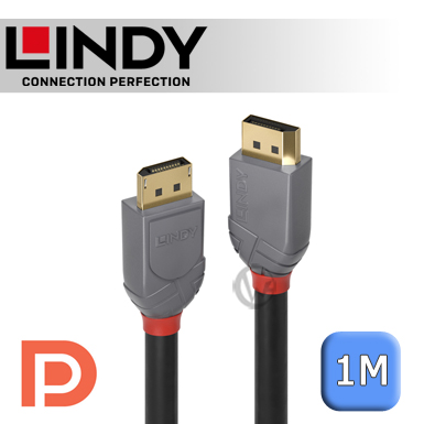 LINDY 林帝 ANTHRA DisplayPort 1.4版 公 to 公 傳輸線 1m (36481)