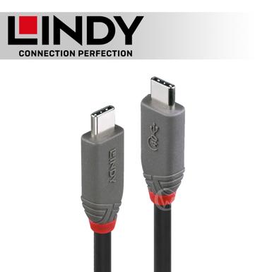 LINDY 林帝 ANTHRA USB 4 Gen 3X2 Type-C 公 to 公 傳輸線+PD智能電流晶片 0.8m (36947)