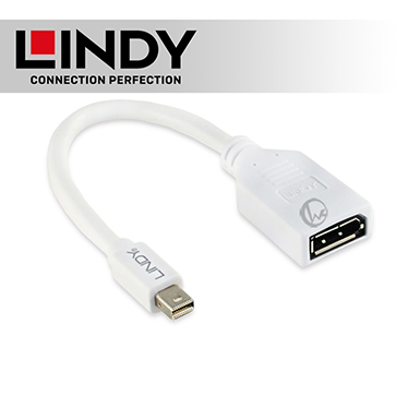 LINDY 林帝 Mini DisplayPort 公 to DisplayPort 母轉接器 20cm (41021)