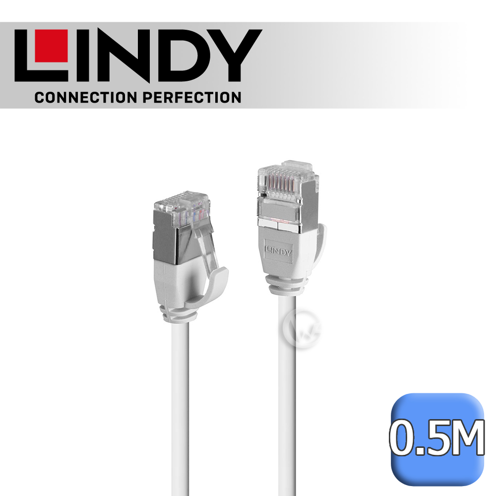 LINDY 林帝 CAT.6A 極細乙太 低煙無鹵 網路線 U/FTP 灰色 0.5m (47591)