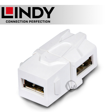 LINDY 林帝 USB2.0 A/母 to A/母 90度 模組/模塊 KEYSTONE (60491)