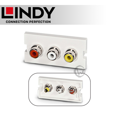 LINDY 林帝 3 X RCA/母(紅/白/黃) to 焊接端子 模組/模塊 KEYSTONE (60532)