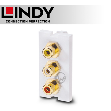 LINDY 林帝 3 X RCA/母(紅/白/黃) to 3 X RCA/母(紅/白/黃) 模組/模塊 KEYSTONE  (60533)