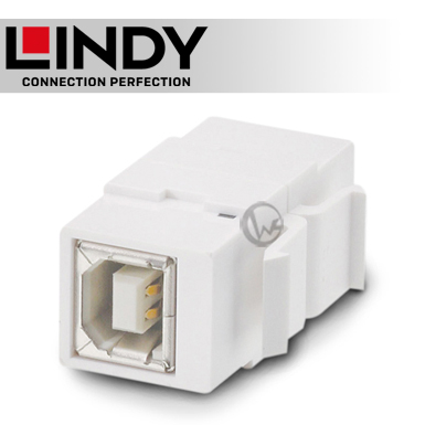 LINDY 林帝 USB2.0 Type-B/母 to B/母 模組/模塊 KEYSTONE (60554)