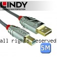 LINDY 林帝 CROMO USB2.0 Type-A/公 to Type-B/公 傳輸線 5m (36644)