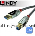 LINDY 林帝 CROMO USB3.0 Type-A/公 to Type-B/公 傳輸線 1m (36661)