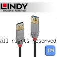 LINDY 林帝 ANTHRA USB3.0 Type-A 公 to A母 延長線 1m (36761)
