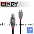 LINDY 林帝 ANTHRA USB2.0 Type-C/公 to Type-B/公 傳輸線 3m (36943)