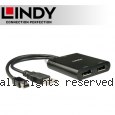 LINDY 林帝 mini DisplayPort 轉4K DisplayPort 一進二出 螢幕獨顯轉接器 (38426)