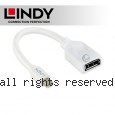 LINDY 林帝 Mini DisplayPort 公 to DisplayPort 母轉接器 20cm (41021)