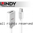 LINDY 林帝 主動式 mini DisplayPort 1.2 to HDMI 2.0 HDR 轉接器 (41063)