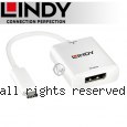 LINDY 林帝 主動式 USB3.1 Type-C to DisplayPort轉接器 (43245)