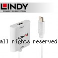 LINDY 林帝 主動式 USB3.1 Type-C to HDMI 2.0 4K@60Hz轉接器 (43247)