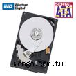 WD 500GB 3.5吋 SATAII 內接式硬碟機