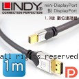 LINDY 林帝 mini-DisplayPort公 對 DisplayPort公 1.3版 數位連接線 1m (41551)