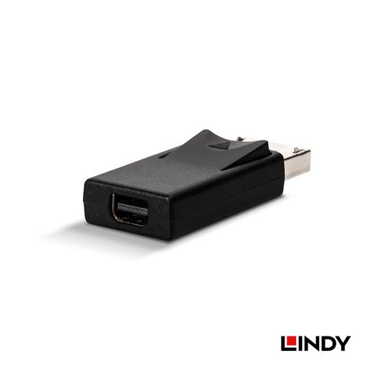 LINDY 林帝 DisplayPort 公 to MiniDisplayPort 母 轉接頭 (41089) 02