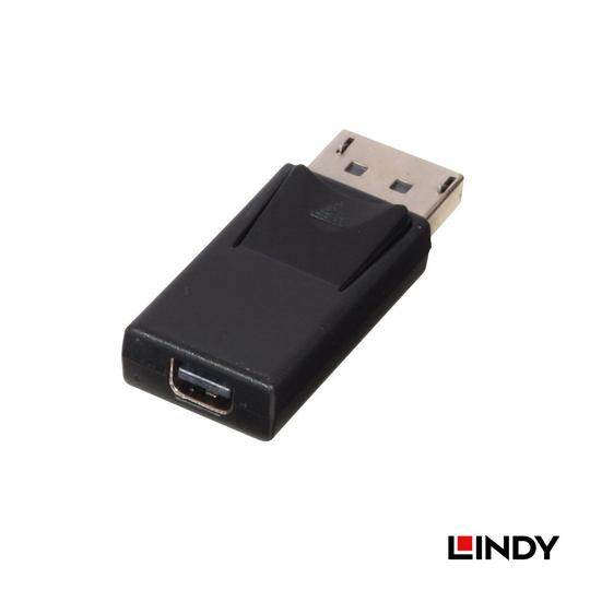 LINDY 林帝 DisplayPort 公 to MiniDisplayPort 母 轉接頭 (41089) 03