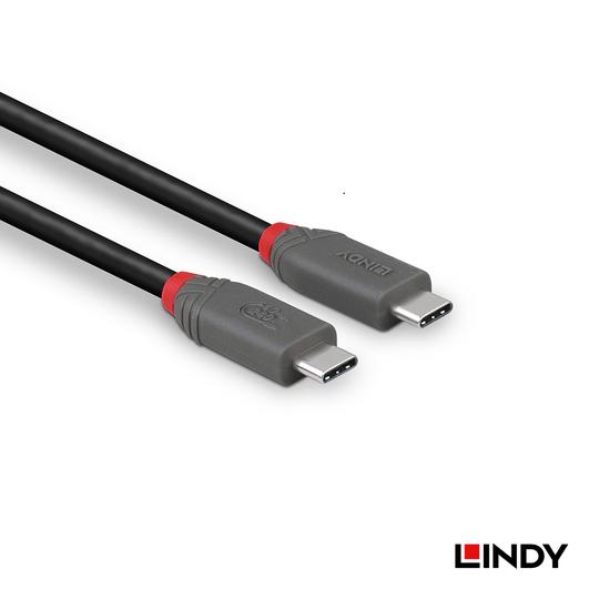 LINDY 林帝 ANTHRA USB 4 Gen 3X2 Type-C 公 to 公 PD 240W 傳輸線 03