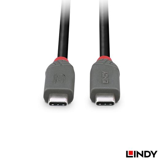 LINDY 林帝 ANTHRA USB 4 Gen 3X2 Type-C 公 to 公 PD 240W 傳輸線 04