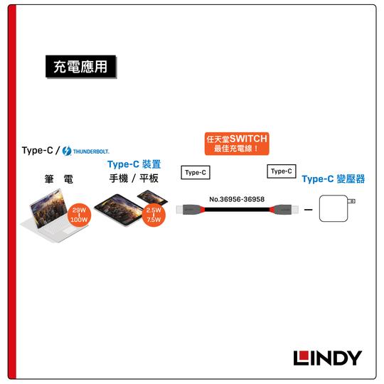 LINDY 林帝 ANTHRA USB 4 Gen 3X2 Type-C 公 to 公 PD 240W 傳輸線 08
