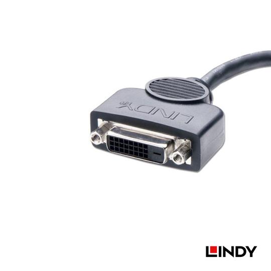LINDY 林帝 HDMI to DVI 連接線 0.2M (41227) 02