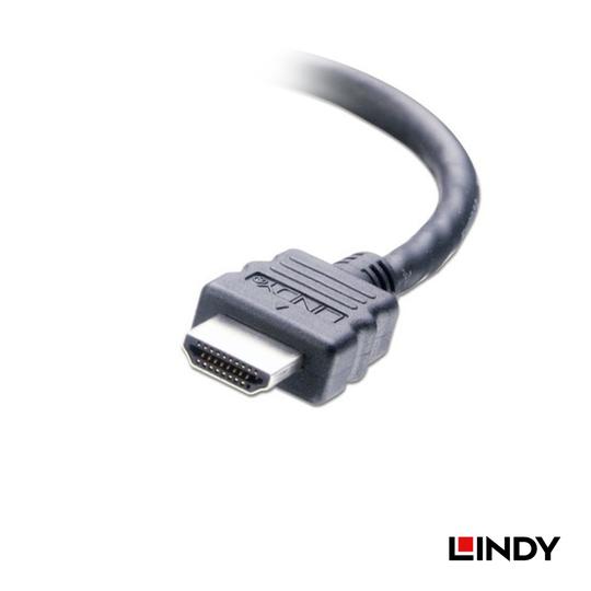 LINDY 林帝 HDMI to DVI 連接線 0.2M (41227) 03