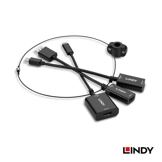 LINDY 林帝 USB-C, mDP & DP to HDMI 鎖線式轉接器組 (38304) 05