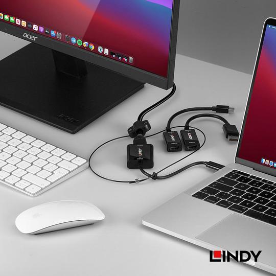 LINDY 林帝 USB-C, mDP & DP to HDMI 鎖線式轉接器組 (38304) 06