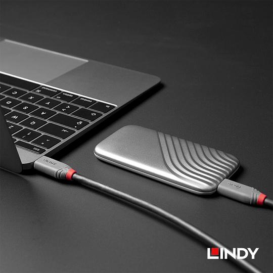 LINDY 林帝 ANTHRA USB 4 Gen 3X2 Type-C 公 to 公 傳輸線+PD智能電流晶片 02