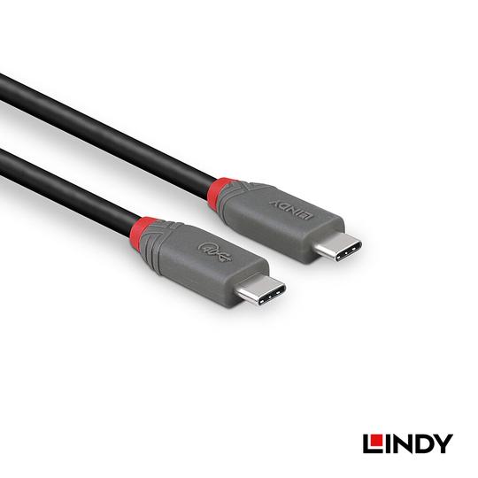 LINDY 林帝 ANTHRA USB 4 Gen 3X2 Type-C 公 to 公 傳輸線+PD智能電流晶片 04