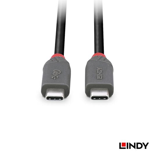 LINDY 林帝 ANTHRA USB 4 Gen 3X2 Type-C 公 to 公 傳輸線+PD智能電流晶片 05