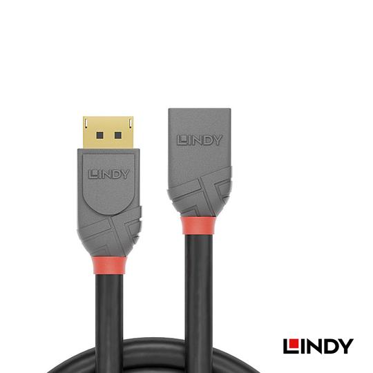 LINDY 林帝 ANTHRA DisplayPort 1.4版 公 to 母 延長線 02