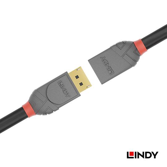LINDY 林帝 ANTHRA DisplayPort 1.4版 公 to 母 延長線 03