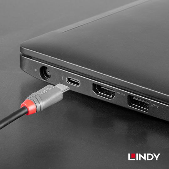 LINDY 林帝 ANTHRA USB2.0 Type-C/公 to Type-B/公 傳輸線 05