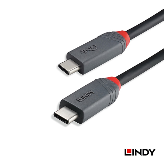 LINDY 林帝 ANTHRA USB 4 Gen 3x2 Type-C 公 to 公 傳輸線+PD智能電流晶片 04
