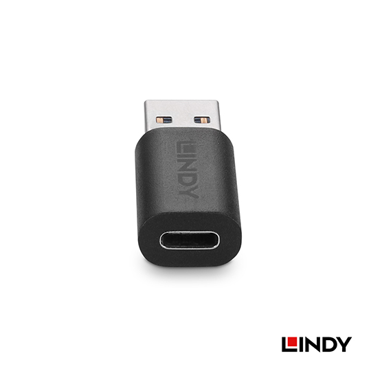 LINDY 林帝 USB 3.2 Gen2 Type-A/公 to Type-C/母 轉接頭 (41904) 03