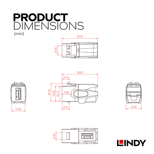 LINDY 林帝 USB2.0 A/母 to A/母 90度 模組/模塊 KEYSTONE (60491) 02