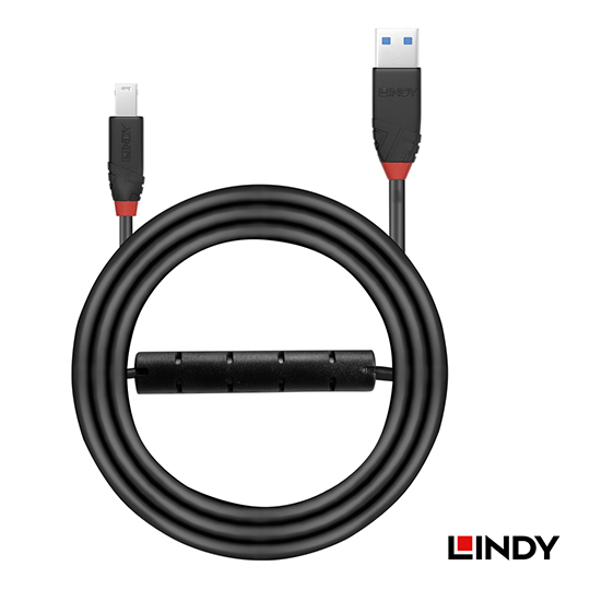 LINDY 林帝 主動式 USB3.0 TypeA/公 to B/公 延長線 02