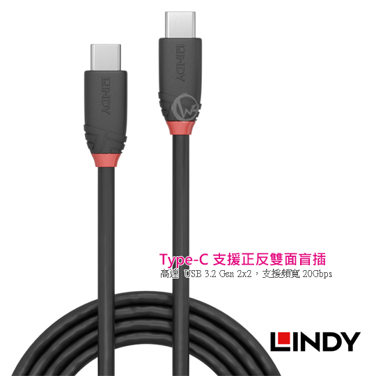 LINDY L Black USB 3.2 Gen 2x2 Type-C  to  ǿu