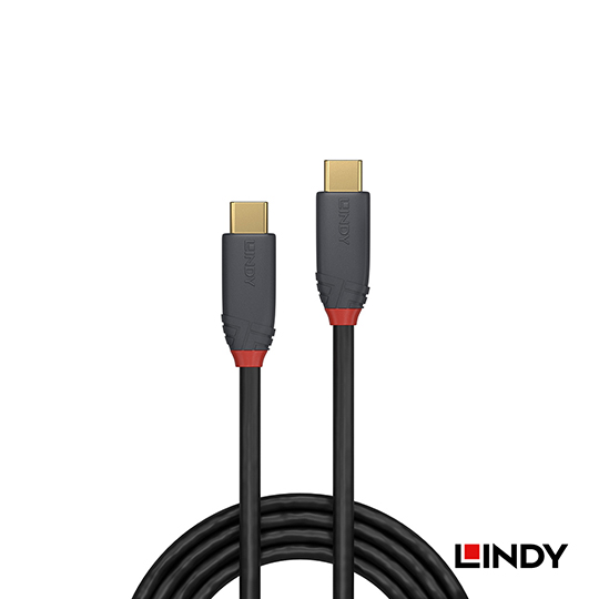 LINDY 林帝 ANTHRA USB 3.2 Gen 2x2 Type-C 公 to 公 傳輸線 + PD智能電流晶片