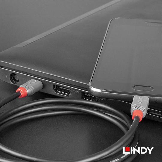 LINDY 林帝 ANTHRA USB 2.0 Type-C/公 to Micro-B/公 傳輸線 03