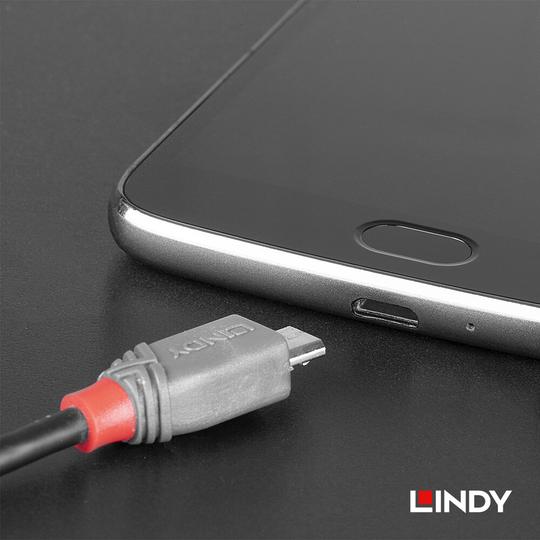 LINDY 林帝 ANTHRA USB 2.0 Type-C/公 to Micro-B/公 傳輸線 04