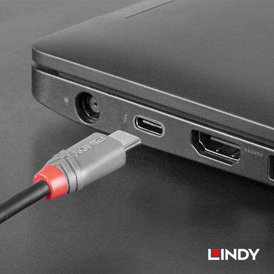 LINDY 林帝 ANTHRA USB 2.0 Type-C/公 to Micro-B/公 傳輸線 05