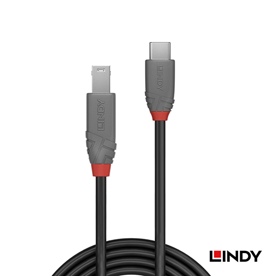 LINDY 林帝  ANTHRA USB3.2 Gen1 Type-C/公 to Type-B/公 傳輸線 02