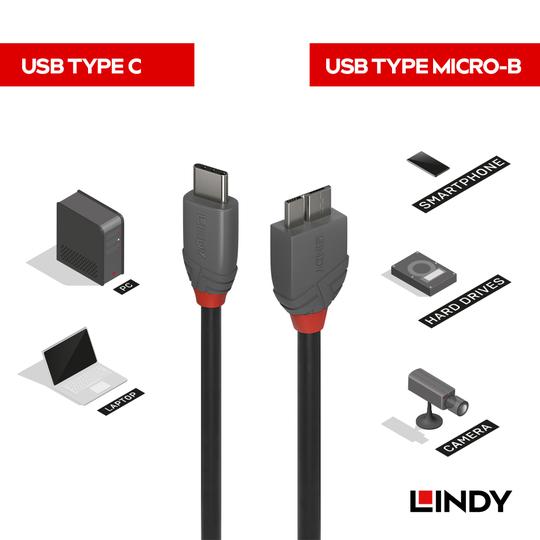 LINDY 林帝 ANTHRA USB3.2 Gen1 Type-C/公 to Micro-B/公 傳輸線 03