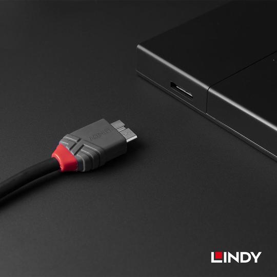 LINDY 林帝 ANTHRA USB3.2 Gen1 Type-C/公 to Micro-B/公 傳輸線 04