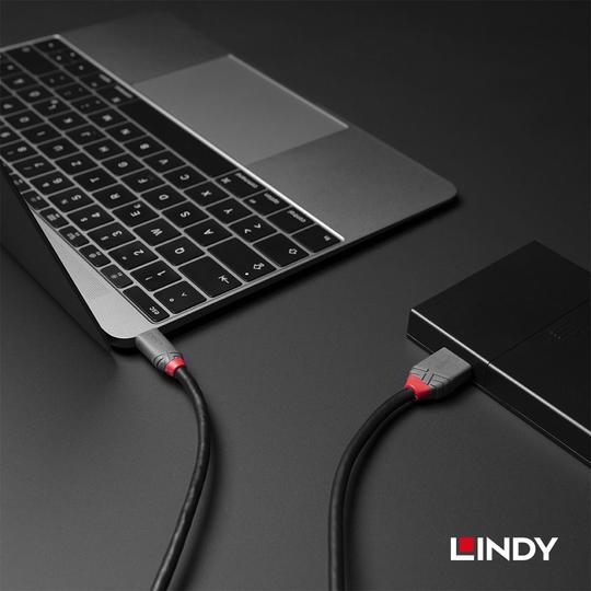 LINDY 林帝 ANTHRA USB3.2 Gen1 Type-C/公 to Micro-B/公 傳輸線 05