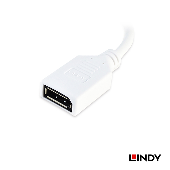 LINDY 林帝 Mini DisplayPort 公 to DisplayPor 母轉接器 (41021)