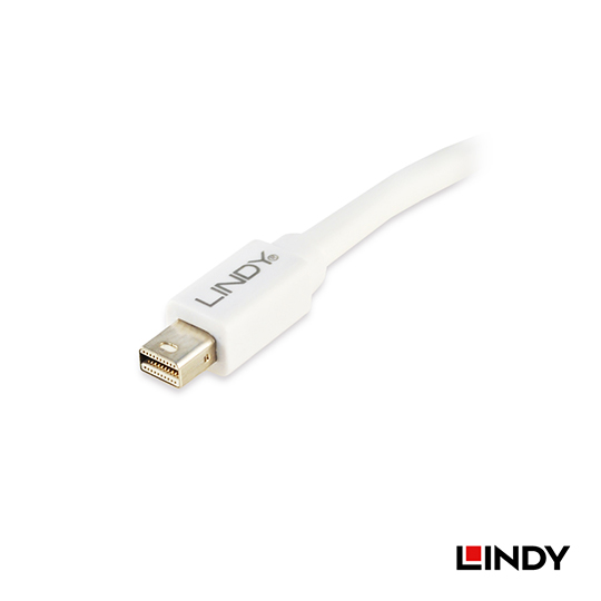 LINDY 林帝 Mini DisplayPort 公 to DisplayPor 母轉接器 (41021)
