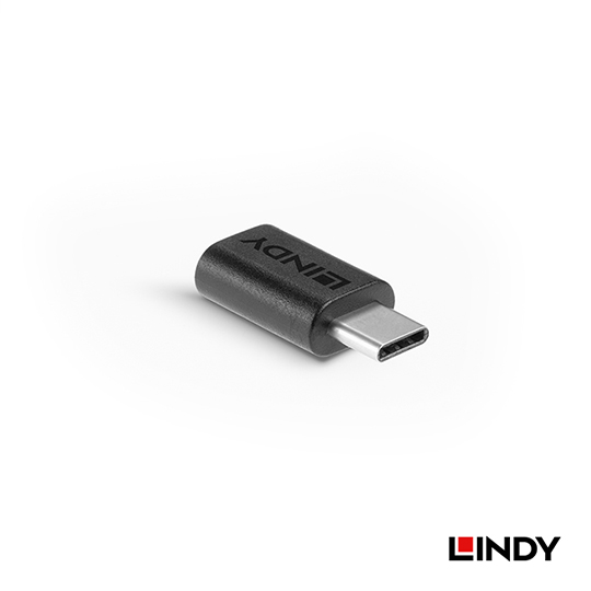 LINDY 林帝 USB3.2 Gen2X2 Type-C 公對母 轉接頭 (41893) 02